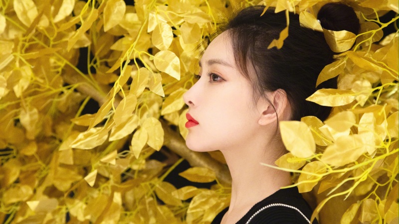 崩坏星穹铁道繁星璀璨的天才在哪刷 繁星璀璨的天才遗器副本位置介绍